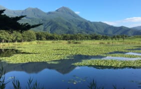 世界遺産・知床と道東の大自然の旅