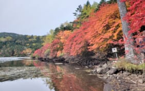 蓼科高原を歩く　北八ヶ岳の秋を楽しむ旅