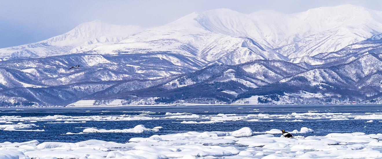 羅臼流氷クルーズも楽しむ 冬の道東 大自然の旅 6日間 ワールド航空サービス