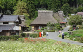 美山・伊根と城崎温泉の旅