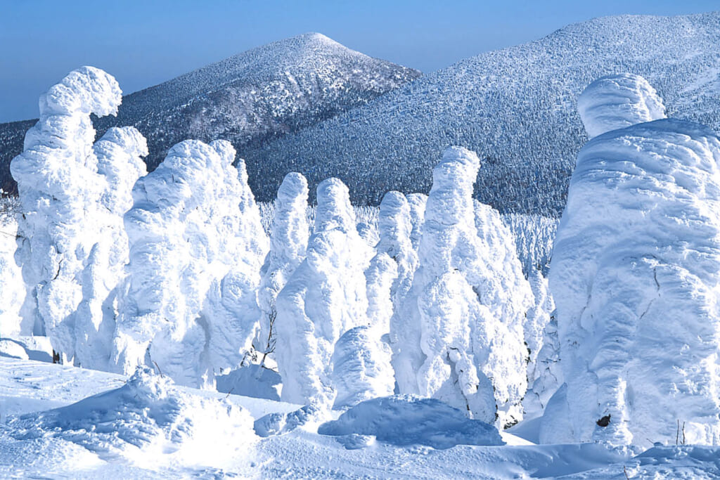 雪上車とロープウェイから楽しむ 蔵王の樹氷と日本三御湯 秋保 あきう 温泉の旅 5日間 ワールド航空サービス