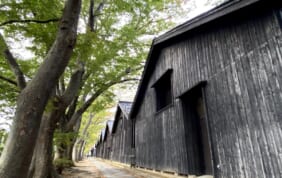 庄内ガストロノミー　鶴岡・酒田の旅