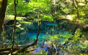 白神山地を歩く旅