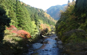 奈良の秘境を歩く　みたらい渓谷、大台ケ原、曽爾高原の旅