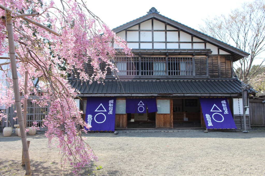 桜咲く春の松前の旅 3日間 ワールド航空サービス