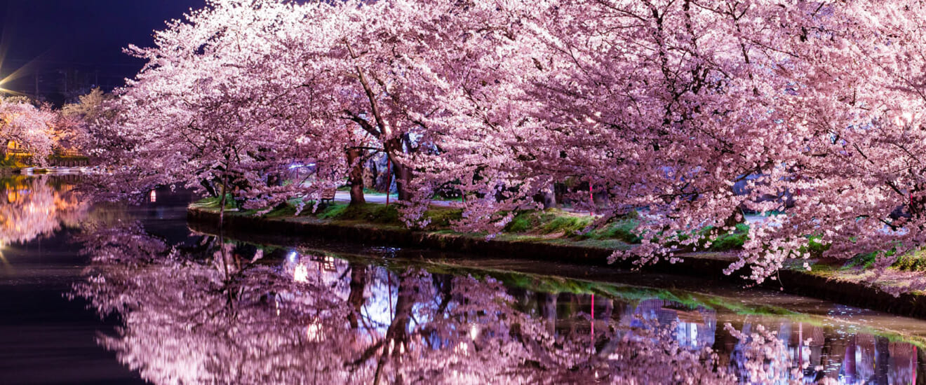 北東北の春景色　みちのく3大桜の旅【4日間】