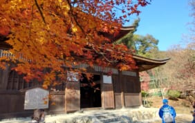大津百町・長期滞在の旅②三井寺と歴史博物館
