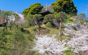 東京　椿山荘　明治の元勲が寄せた故郷への想い