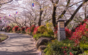 江戸時代の名所へ　江戸市民の小旅行