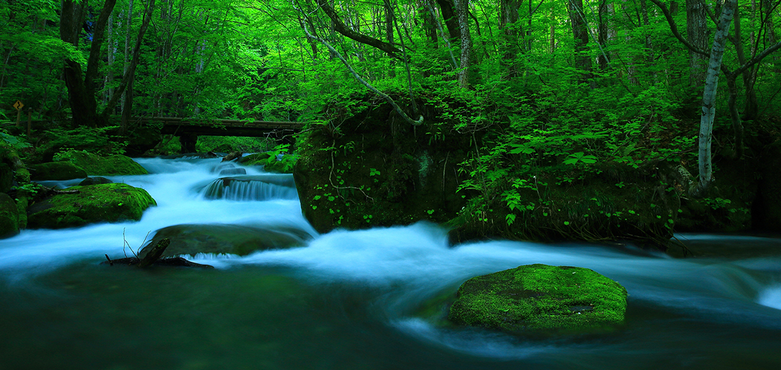 日本一の渓流美 奥入瀬（青森県十和田市） | 旅のひろば | ワールド
