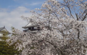 【帰着レポート】四国ガストロノミー　高知・愛媛の旅