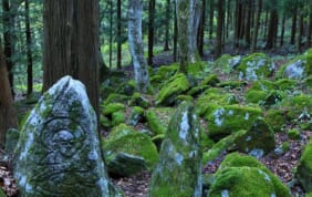 究極のどぶろく　遠野