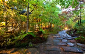 高級感漂う阿蘇の秘湯・黒川温泉と嬉野の名旅館を訪ねて