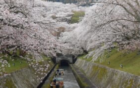 【帰着レポート】日本遺産・琵琶湖疏水クルーズと奈良ホテルの旅