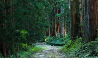 街道をゆく　日光街道歴史の旅 【5日間】