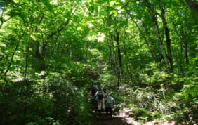 【帰着レポート】世界遺産白神山地を歩く旅