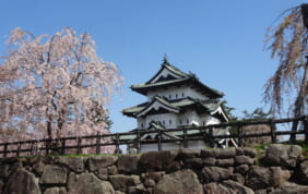 【帰着レポート】弘前の桜と角館　春の旅【３日間】