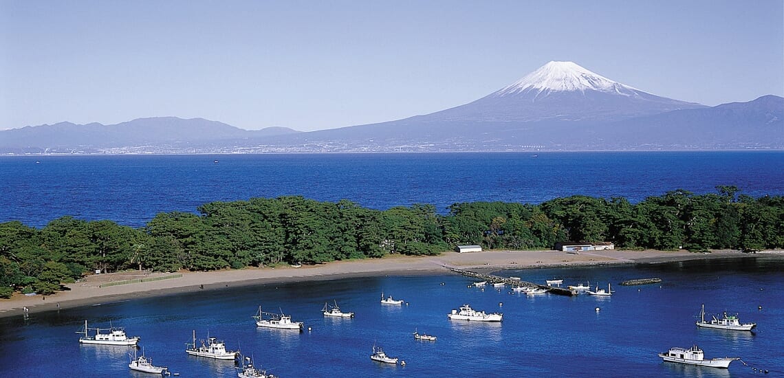 福岡発着 富士の絶景と海の幸 西伊豆と駿河湾 4日間 ワールド航空サービス 福岡発着 富士の絶景と海の幸 西伊豆と駿河湾 4日間 ワールド航空サービス