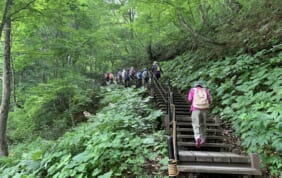 【帰着レポート】世界遺産白神山地を歩く旅【４日間】