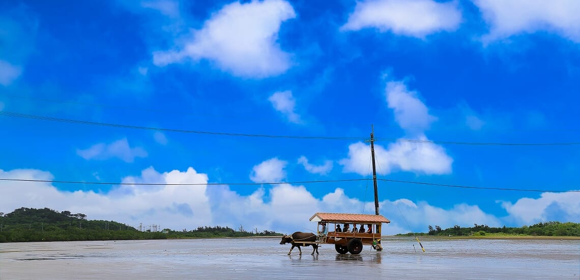 八重山諸島と日本最南端の波照間島へ ６日間 ワールド航空サービス