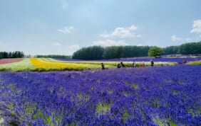 【帰着レポート】夏の北海道　大周遊の旅