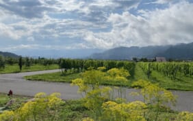 【帰着レポート】越後トキめき鉄道「雪月花」と北信越鉄道の旅