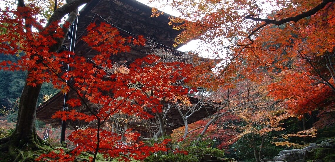 紅葉の絶景を楽しむ　秋の近江・琵琶湖ホテル4連泊滞在の旅【5日間】