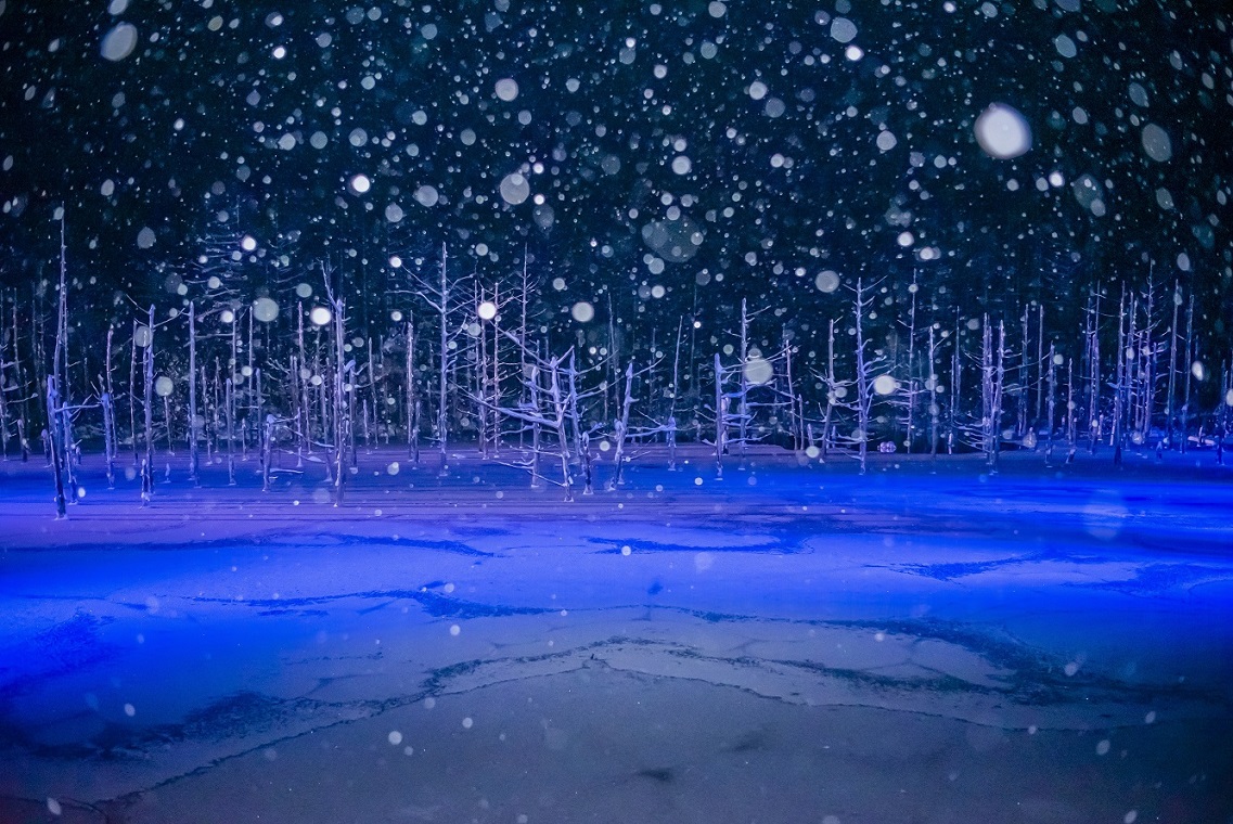 氷雪が創り出す、絶景の数々。神秘の「青池」と幻想の「タウシュベツ川 