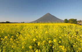 ひと足早い日本の春景色を楽しむ旅