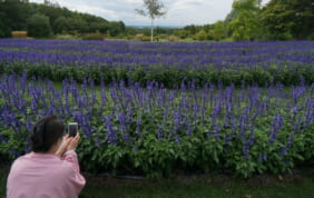 【帰着レポート】北海道ガーデン街道の旅 ５日間