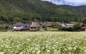 山の京都　美山の町並み