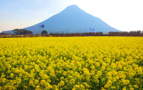 薩摩富士・開聞岳（鹿児島県指宿市）