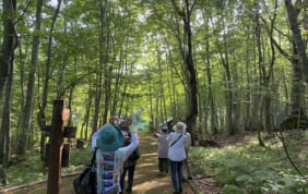 【帰着レポート】角館から男鹿半島、白神山地へ 秋田周遊の旅　　　　