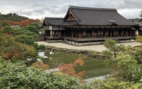 【帰着レポート】世界遺産仁和寺　夢の一夜