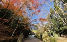アマンを愉しむ紅葉の京都