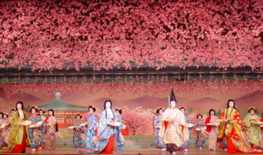 四月卯月　都をどりと春を楽しむ　京の歳時記【4日間】