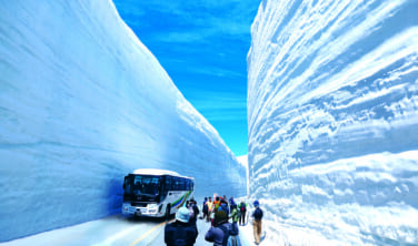 雪の大谷ウォークを楽しむ　白馬からアルペンルート・黒部峡谷の旅【5日間】