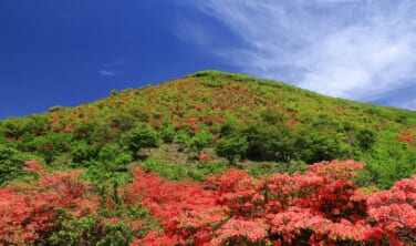 春の松前とツツジ咲く恵山の絶景宿・恵風（けいぷ）の旅　【3日間】