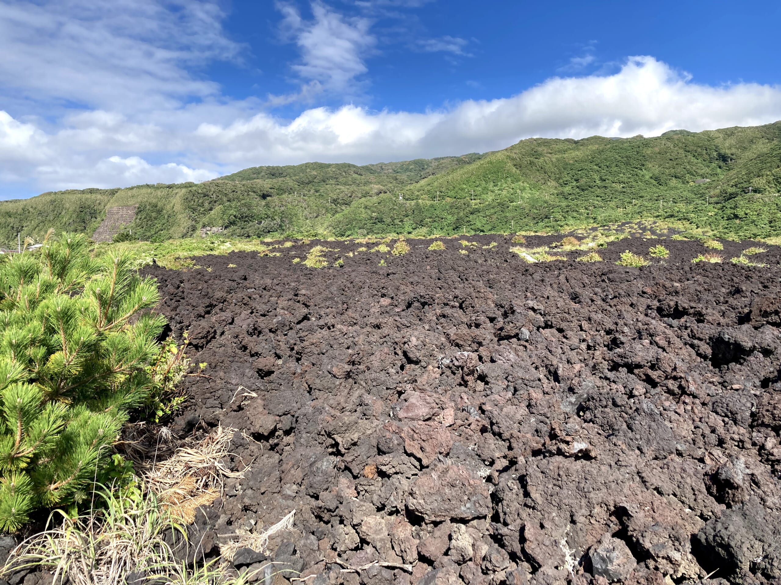 帰着レポート】東京諸島 八丈島・三宅島の旅 | 旅のひろば | ワールド