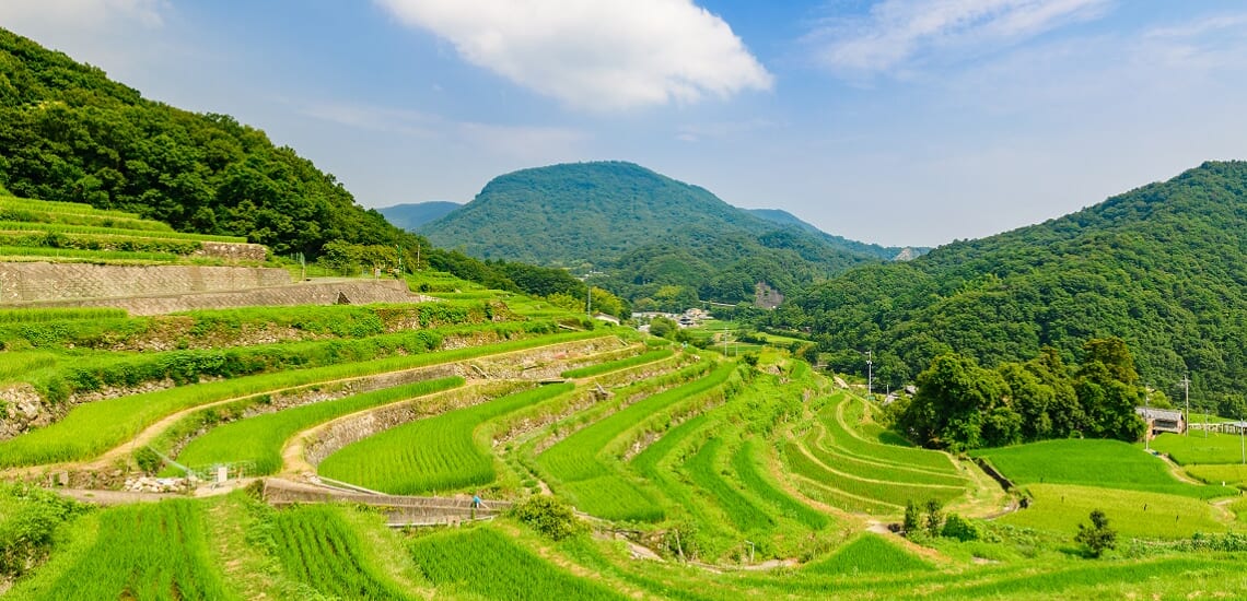 島民が案内する美しき小豆島の文化【4日間】