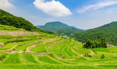 島民が案内する美しき小豆島の文化【4日間】