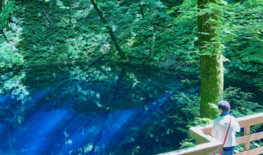 世界遺産　白神山地を歩く旅【4日間】