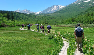 夏の北アルプス 白馬滞在の旅【6日間】