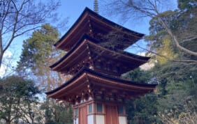 【帰着レポート】師走　奈良の歳時記　唐招提寺特別拝観と年に一度の東大寺秘仏公開　4日間