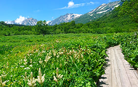 信州の旅