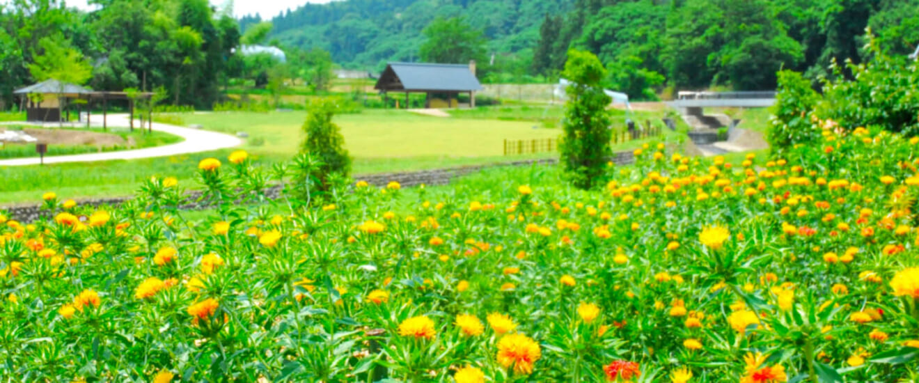 街道をゆく　羽州街道　紅花と最上川舟運の道【7日間】