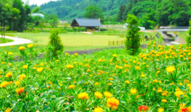 街道をゆく　羽州街道　紅花と最上川舟運の道【7日間】