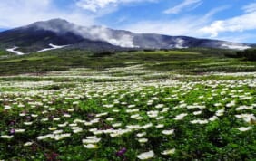 夏の北海道の旅、細部にまでこだわった内容でご案内します