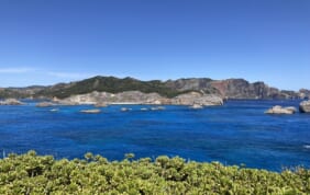 ホテルホライズン3泊と世界遺産小笠原諸島の旅