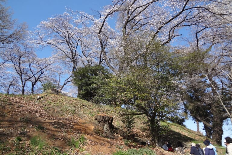 久津川車塚古墳